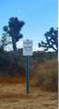 56200 Skyline Ranch Road - Photo 10