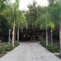 1248 Rocky Road - Photo 39