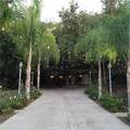 1248 Rocky Road - Photo 44