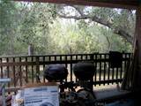 1248 Rocky Road - Photo 51