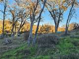 9498 Copsey Creek - Photo 19