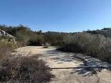 12494 Buena Vida Rd - Photo 15