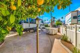 69411 Ramon Road - Photo 7