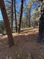 0 Poplar - Photo 11