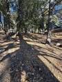 0 Poplar - Photo 5