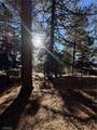 0 Poplar - Photo 7