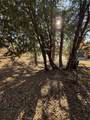 0 Poplar - Photo 9