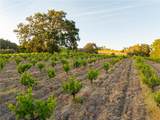 3750 Highway 46 - Photo 48