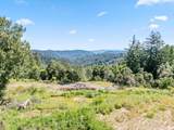 22981 Highway 17 - Photo 22