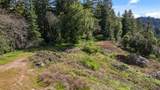 22981 Highway 17 - Photo 28