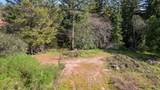 22981 Highway 17 - Photo 29