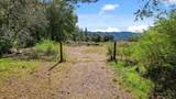 22981 Highway 17 - Photo 8