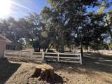 30247 Chihuahua Valley Road - Photo 30