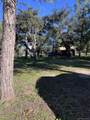 30247 Chihuahua Valley Road - Photo 58