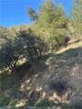 0 Vac/San Francisquito Cyn - Photo 4