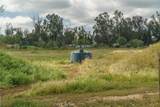 33041 Briggs Road - Photo 55
