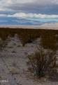 26 Cheyene - Photo 25