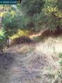 0 Ruthland - Photo 3