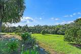 363 Tumble Creek Ln - Photo 51