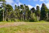 43535 Comptche Ukiah Road - Photo 11