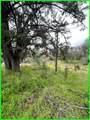 13672 Fair Oak Road - Photo 1
