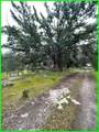 13672 Fair Oak Road - Photo 10