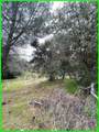 13672 Fair Oak Road - Photo 6