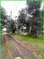 13672 Fair Oak Road - Photo 8