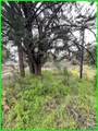 13672 Fair Oak Road - Photo 9