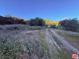 23629 Zuniga Road - Photo 12