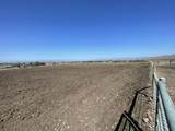 1810 Santa Ana Valley Road - Photo 8