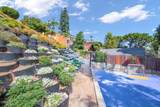1110 Arno Drive - Photo 44