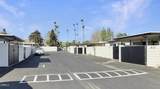 61 Redwood Avenue - Photo 41