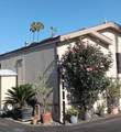 2909 Arrow Highway - Photo 2