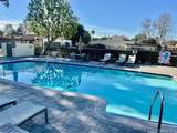 2225 Vista Huerta - Photo 20