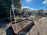 21709 Bene Drive - Photo 26