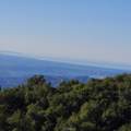 39280 Redonda Mesa - Photo 3