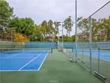 59 Rainbow Ridge - Photo 13