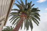 201 Olive Street - Photo 35