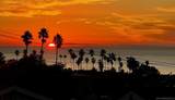 4506 Point Loma Ave - Photo 1