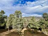 1118 Snowline - Photo 30