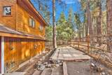 985 Pheasant - Photo 44