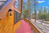 985 Pheasant - Photo 5