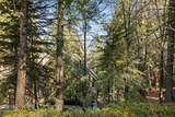 27434 White Fir - Photo 27