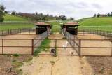 805 Spring Creek Way - Photo 58