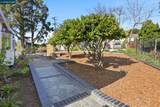 128 Diablo View Dr - Photo 46