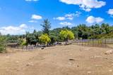 2686 Via Viejas - Photo 29