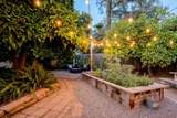 1264 Celeste - Photo 33