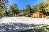 7729 Calle Amanacer - Photo 58