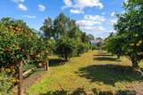 8 Country Glen Rd - Photo 25